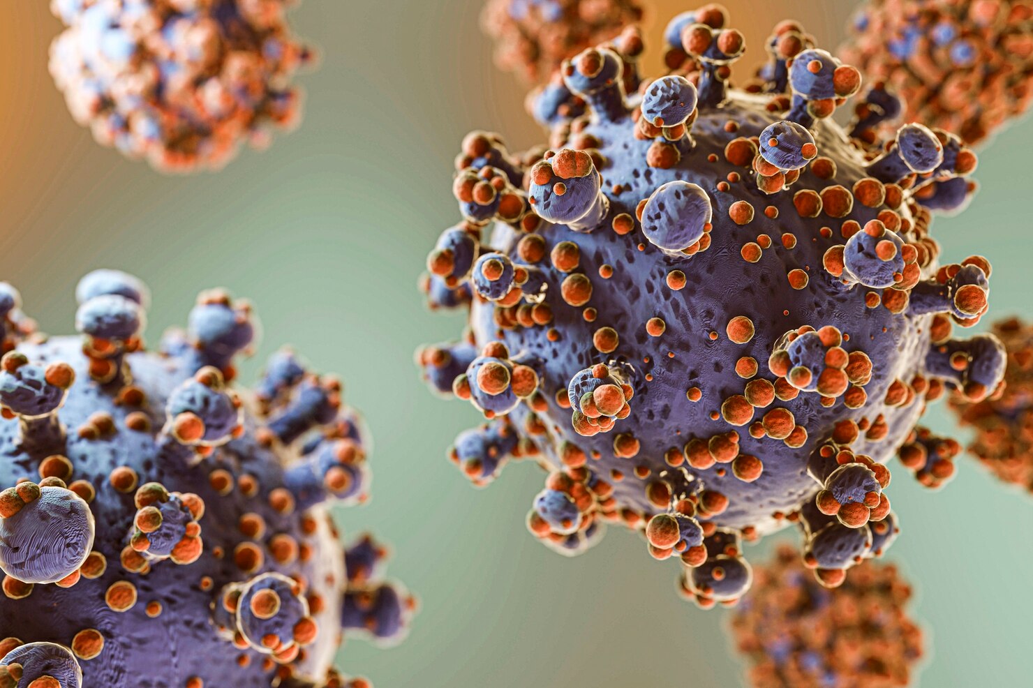 Smrtící hantavirus na výletní lodi WHO pátrá po cestujících letu