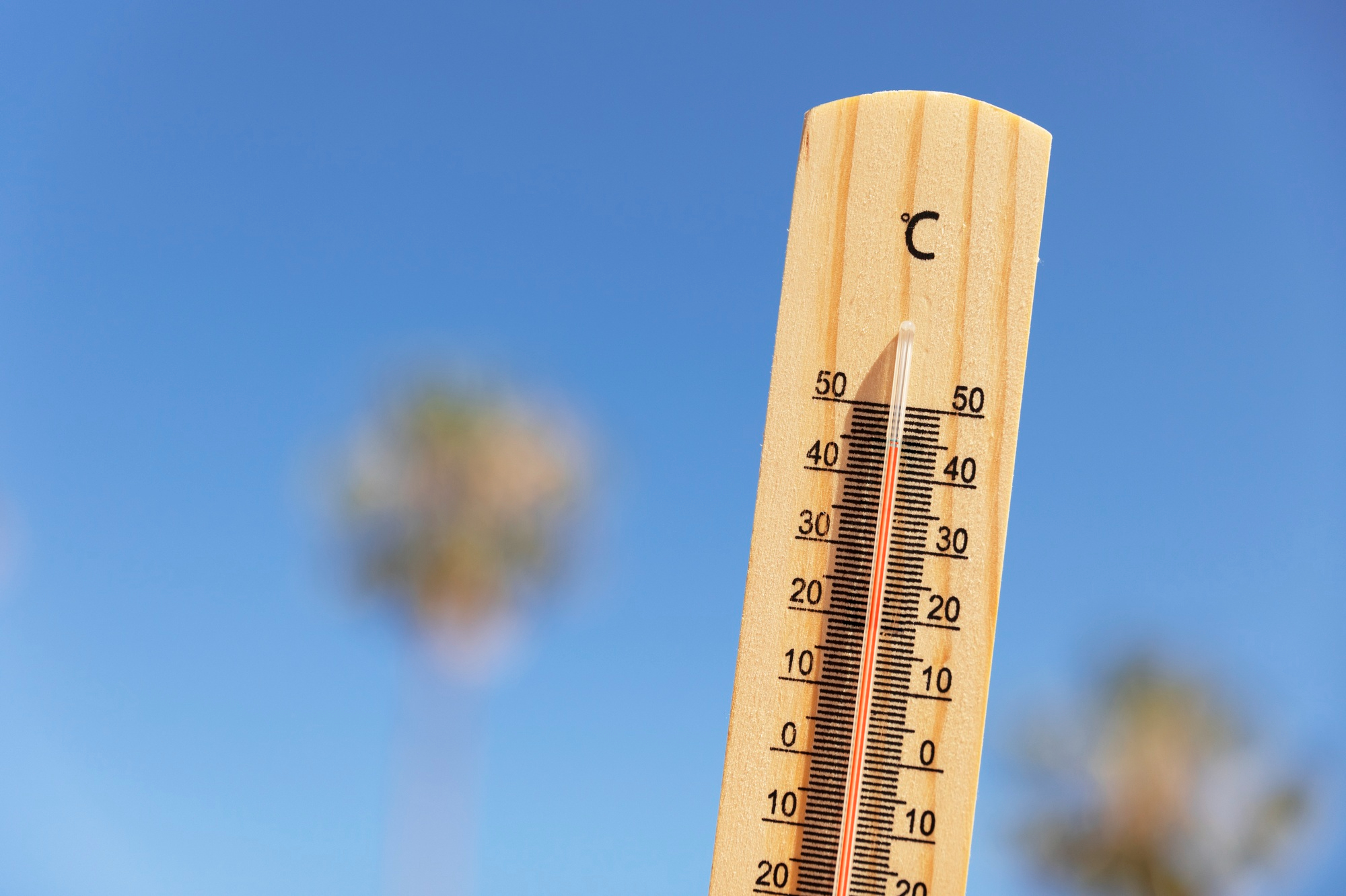 Česko v žáru: 41,9 °C, pět dní nad čtyřicet a šok pro meteorology